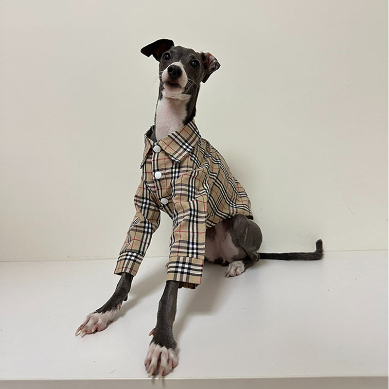 Fashionable Italian Dog Whippet Shirt