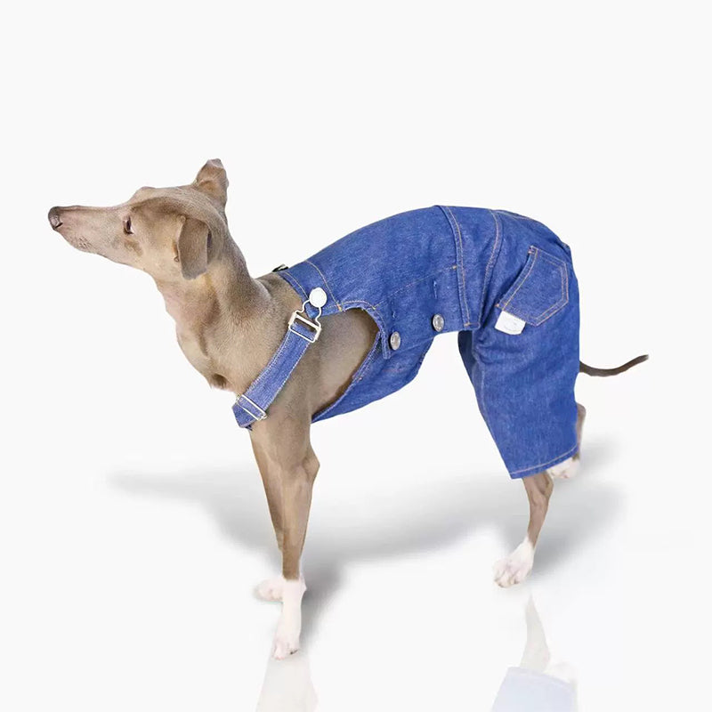 Comfortable Denim Italian Dog Pants