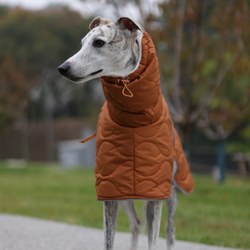 Thick Warm Waterproof Vest Italian Greyhound Whippet Winter Coat