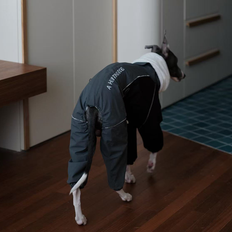 Winter Waterproof Windproof Onesie Italian Greyhound Whippet Clothes