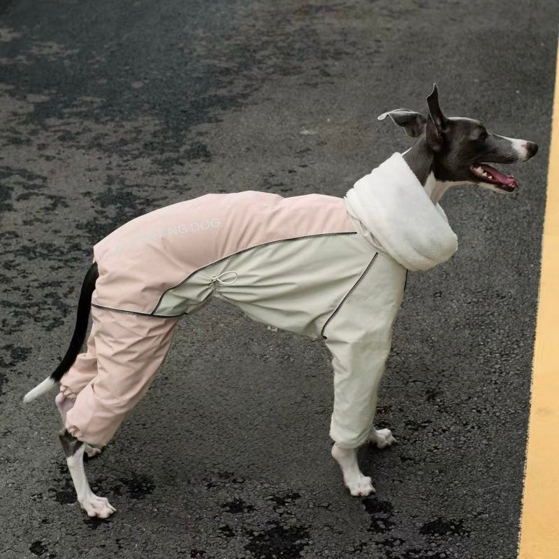 Winter Waterproof Windproof Onesie Italian Greyhound Whippet Clothes
