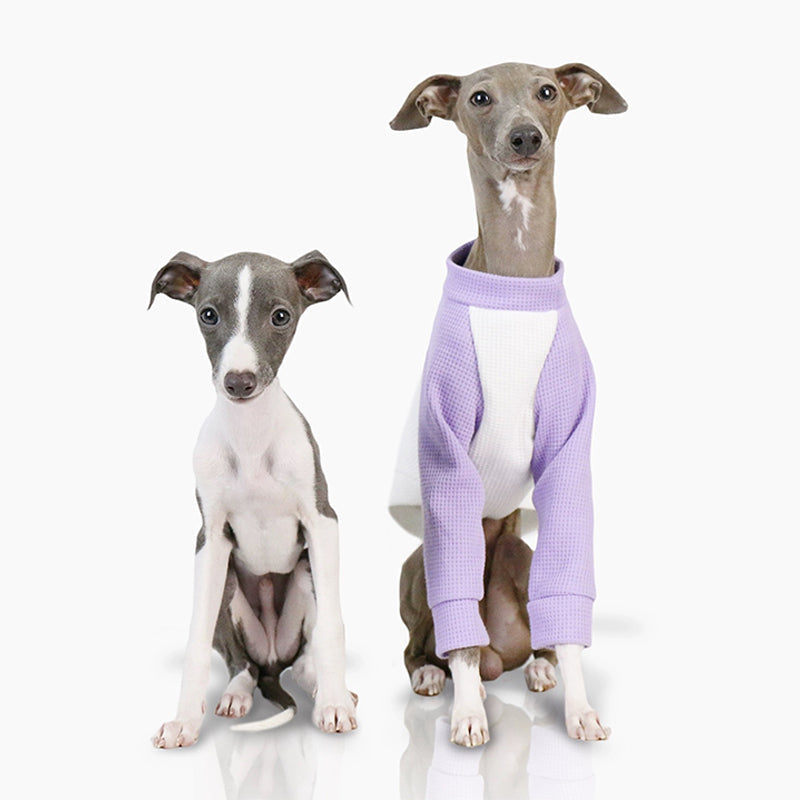 Soft Cotton Dog Whippet Shirt