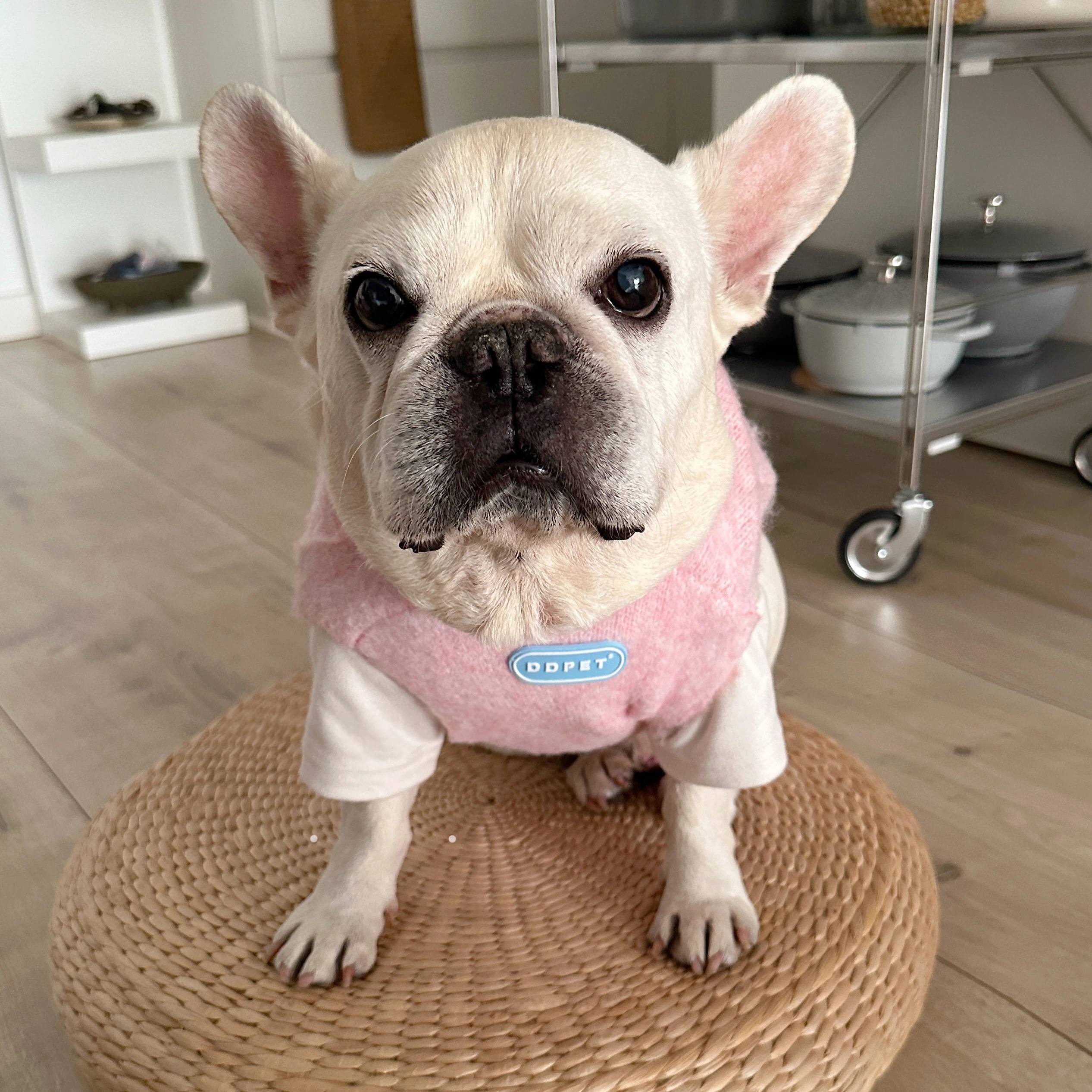 Winter Warm Knit Dog Vest