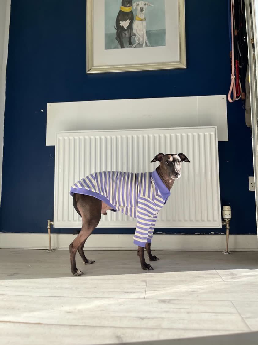 Comfortable Dog Polo Shirt