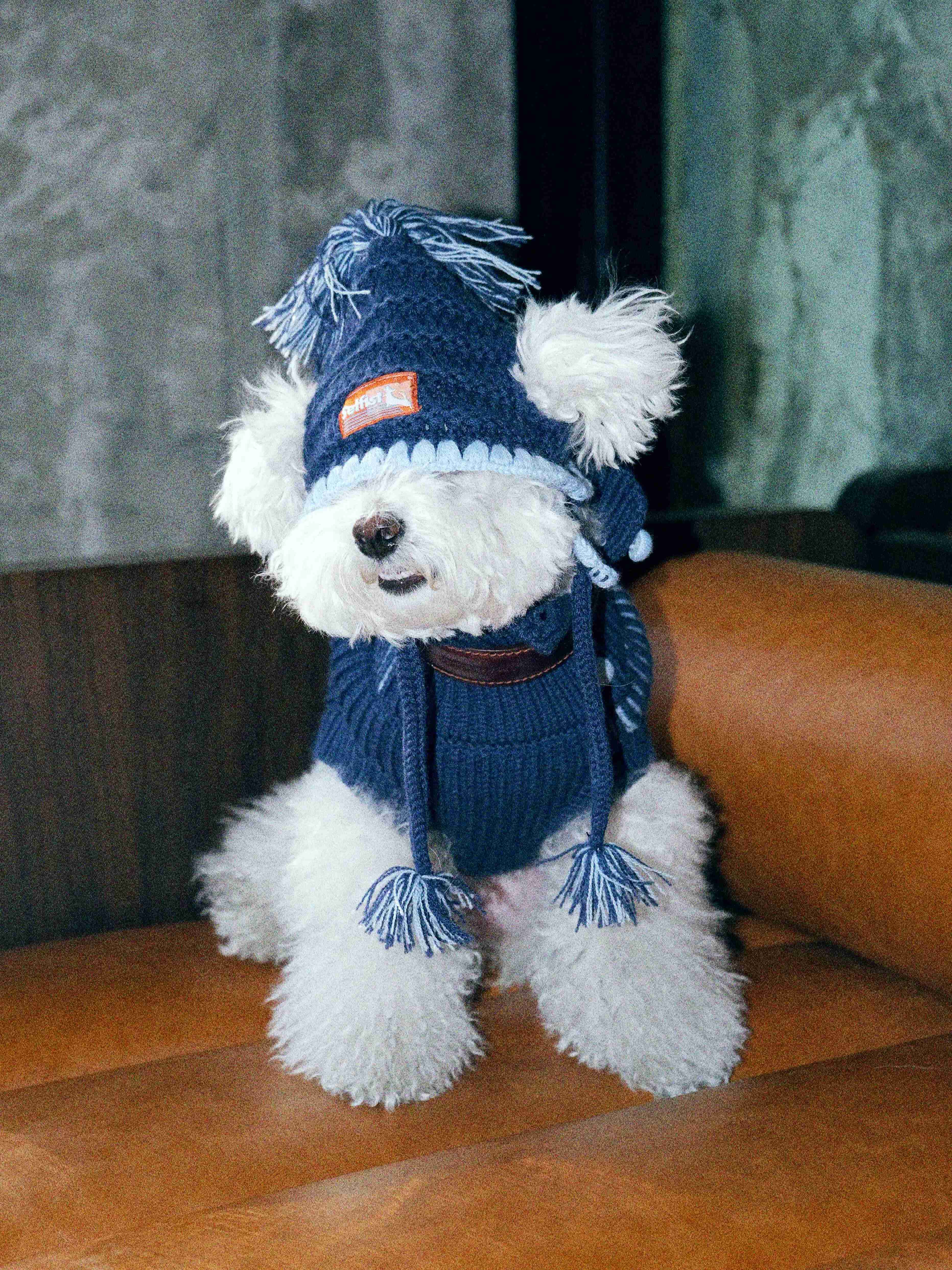 Wool Knit Holiday Dog Sweater for Greyhound