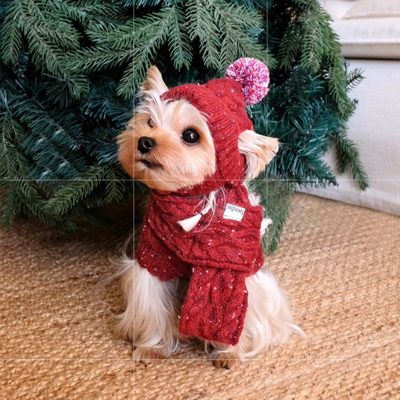 Cozy Dog Christmas Sweater Set