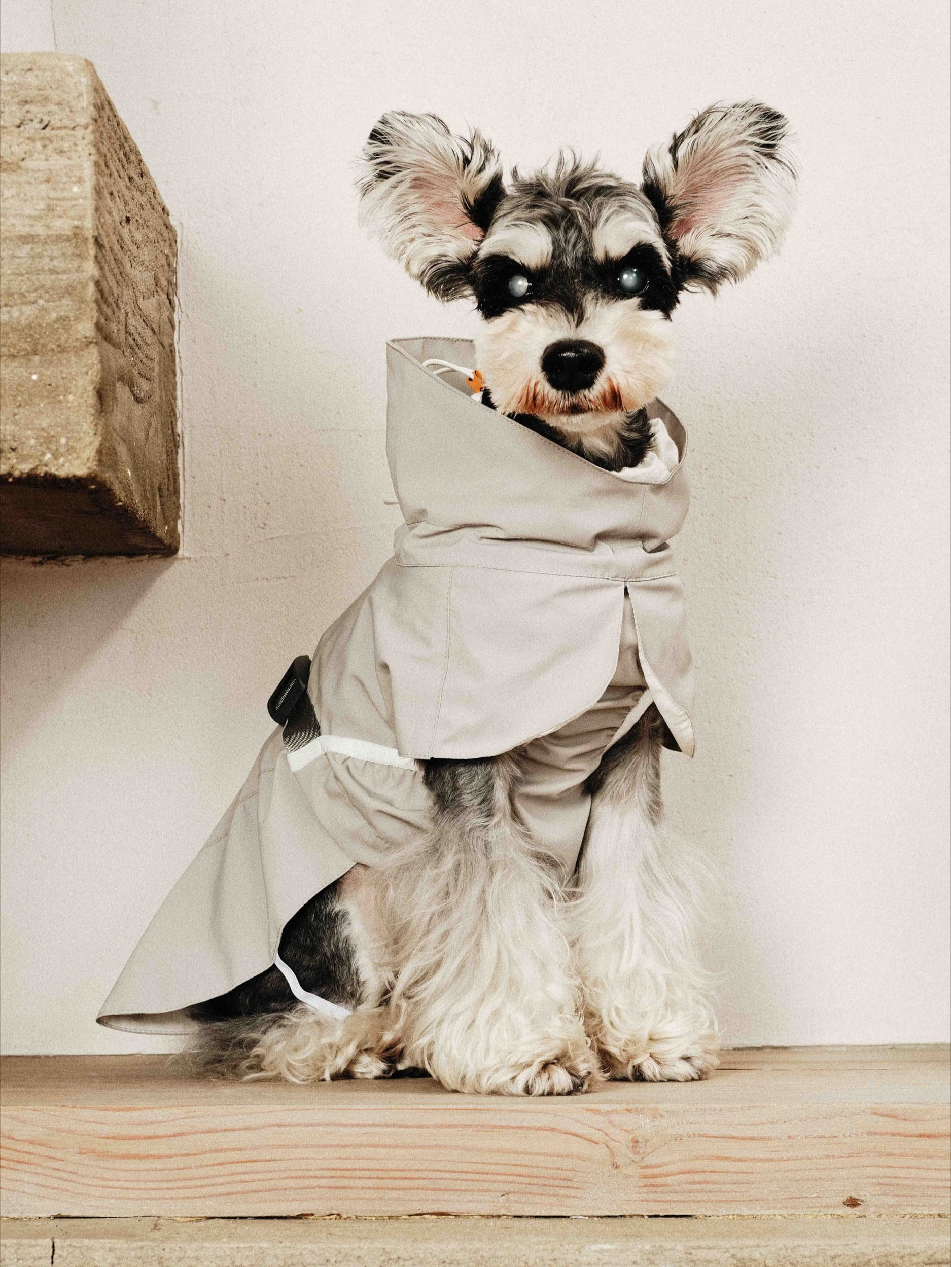 Waterproof Dog Shell Jacket