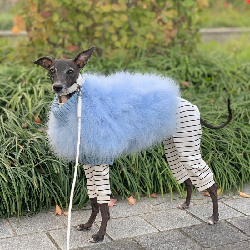 Turkish Feather Warm Greyhound Sweater