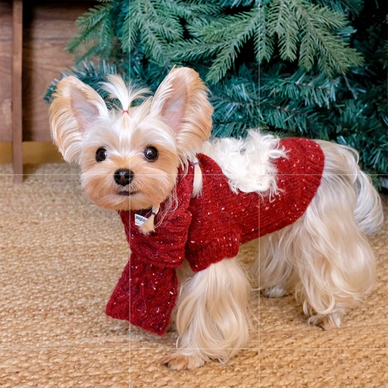Cozy Dog Christmas Sweater Set