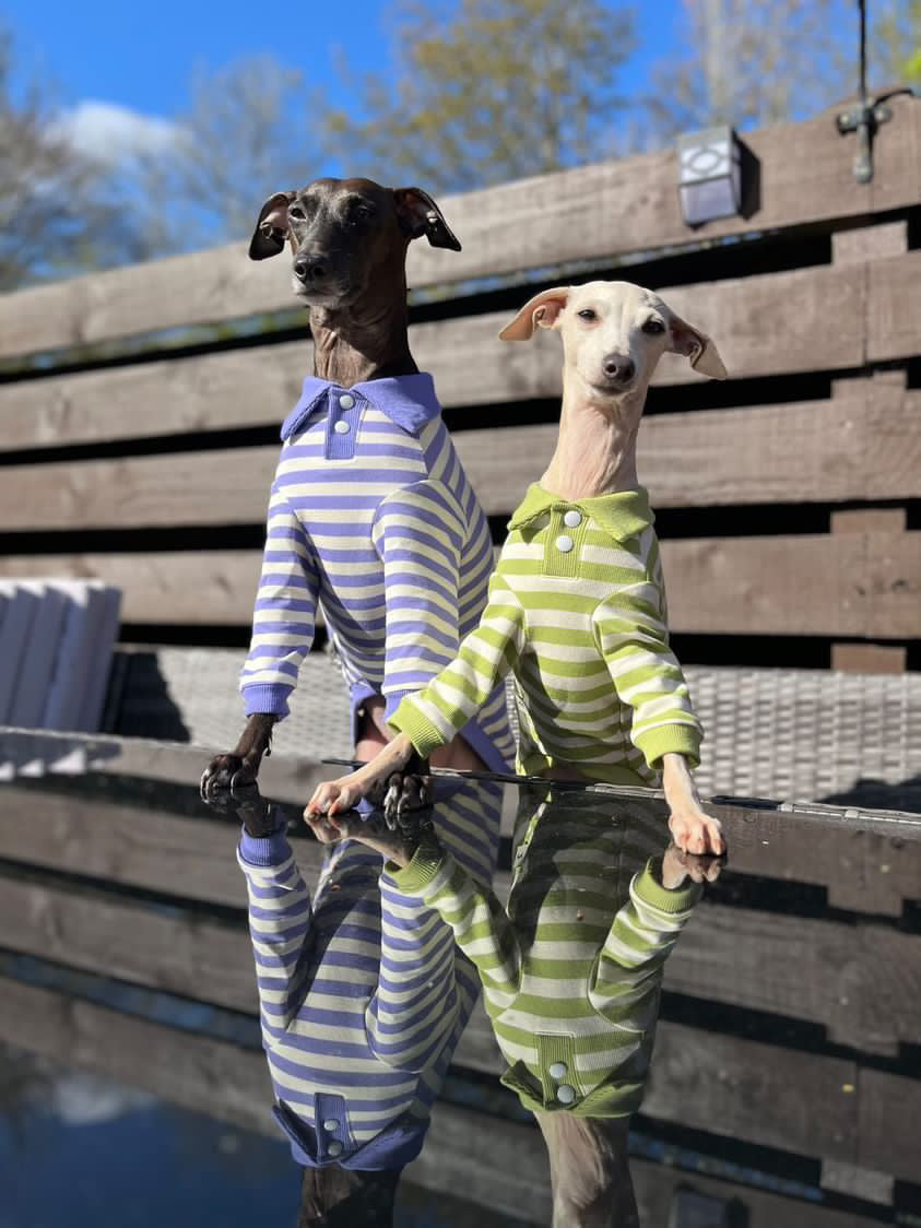 Comfortable Dog Polo Shirt