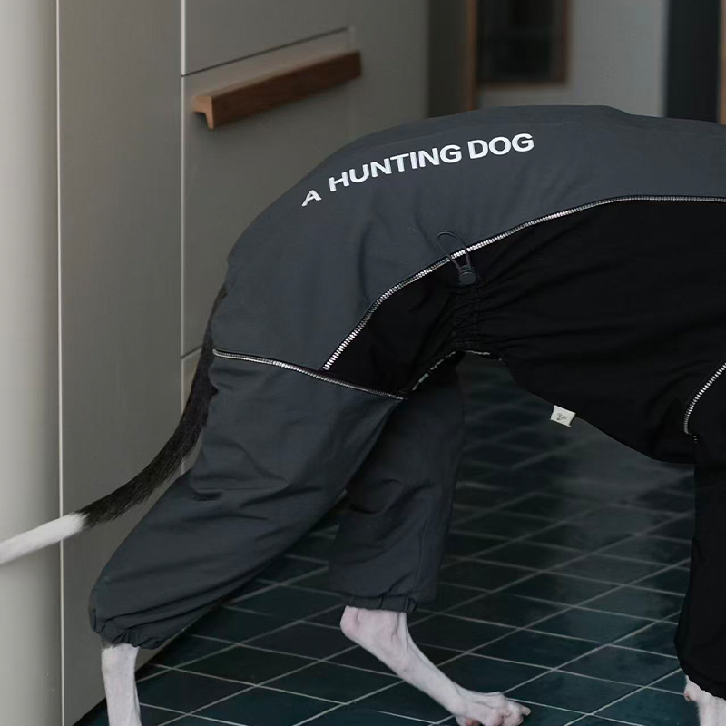 Winter Waterproof Windproof Onesie Italian Greyhound Whippet Clothes