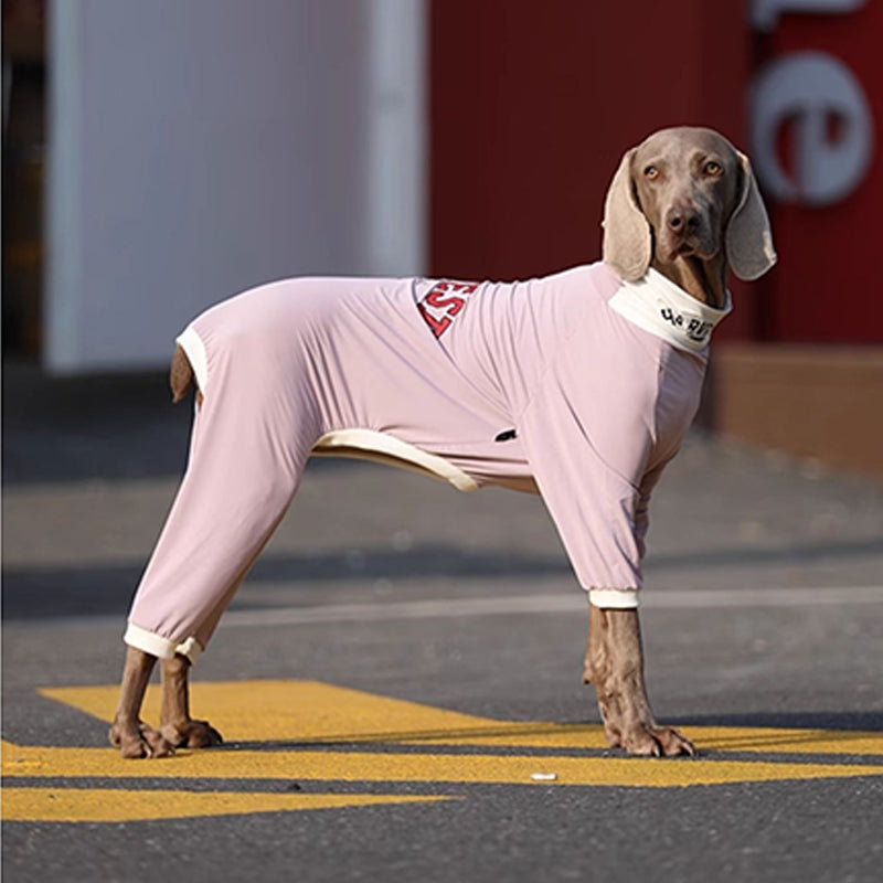 UPF50 Big Dog Cotton Onesie
