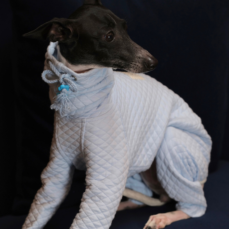Soft Stretch Four-Leg Outfit for Italian Greyhound
