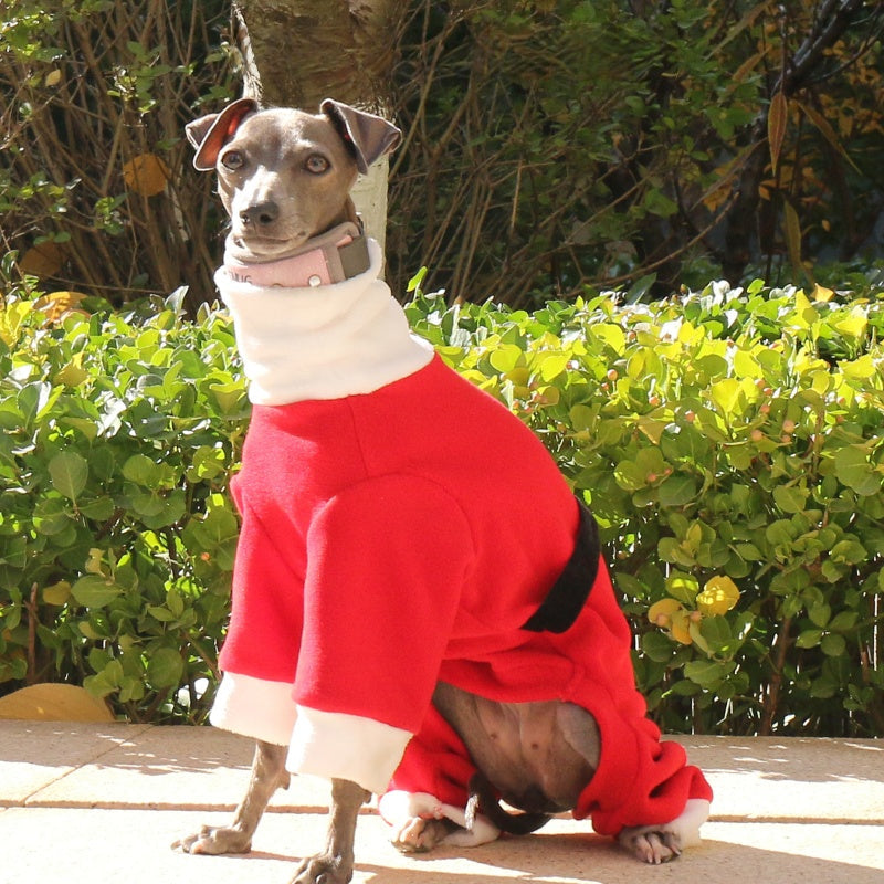 Christmas Red Four-Leg Onesie Italian Greyhound Whippet Dog Clothing