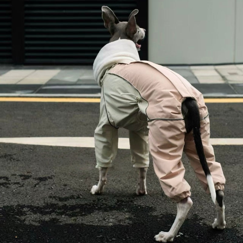 Winter Waterproof Windproof Onesie Italian Greyhound Whippet Clothes
