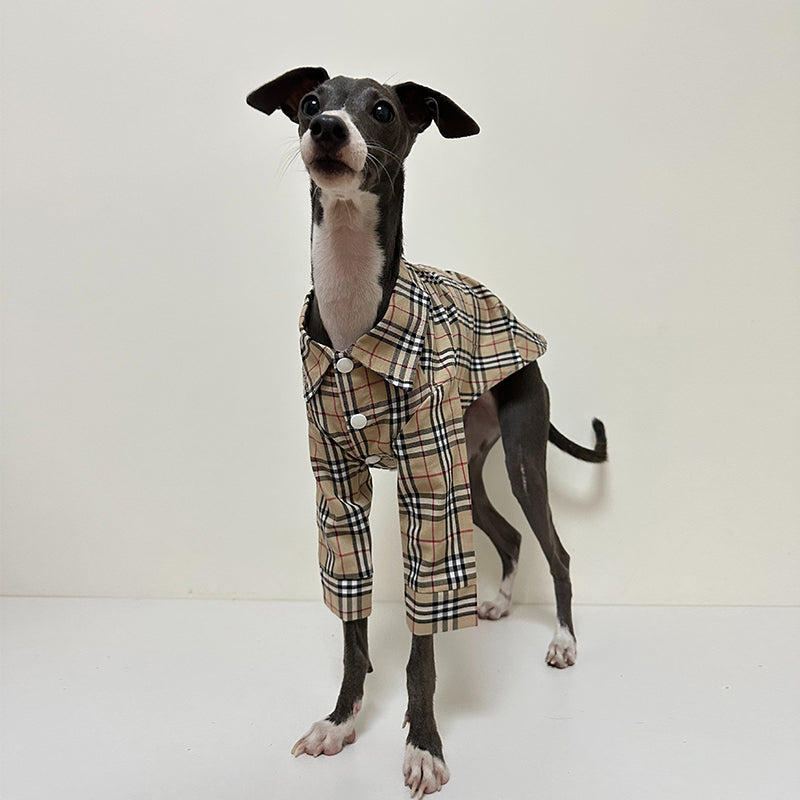 Fashionable Italian Dog Whippet Shirt