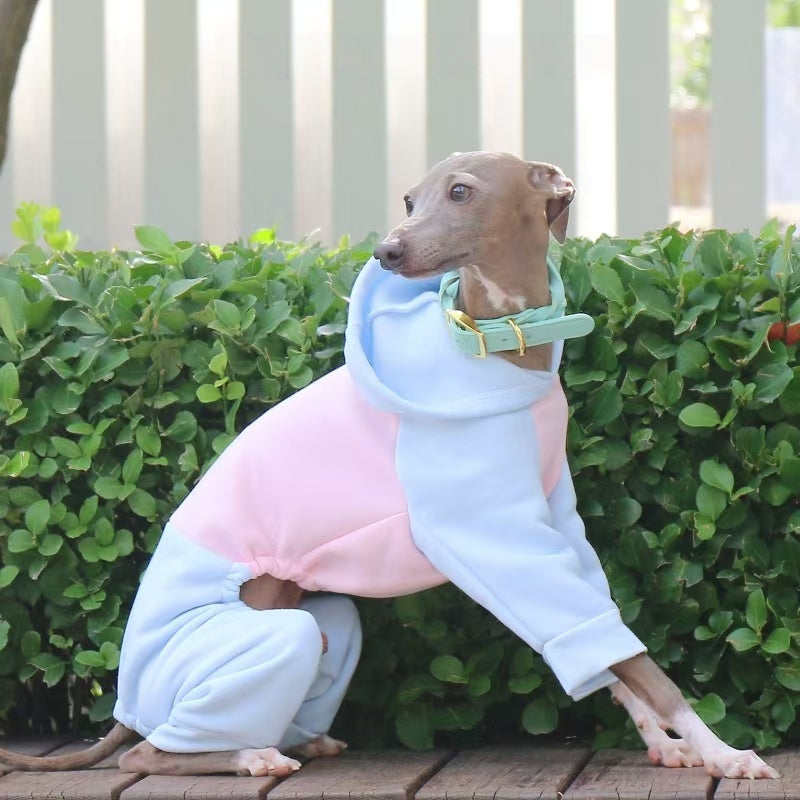 Warm Color Block Onesies for Italian Greyhound Whippet Clothes