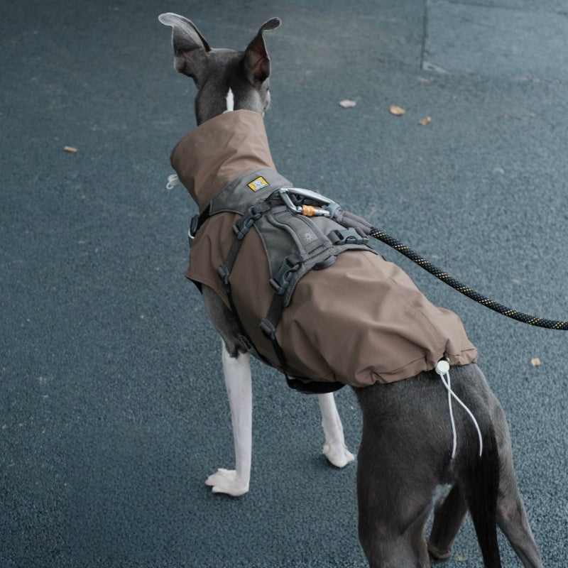 Waterproof Scratch-Resistant Vest Italian Greyhound Whippet Clothes