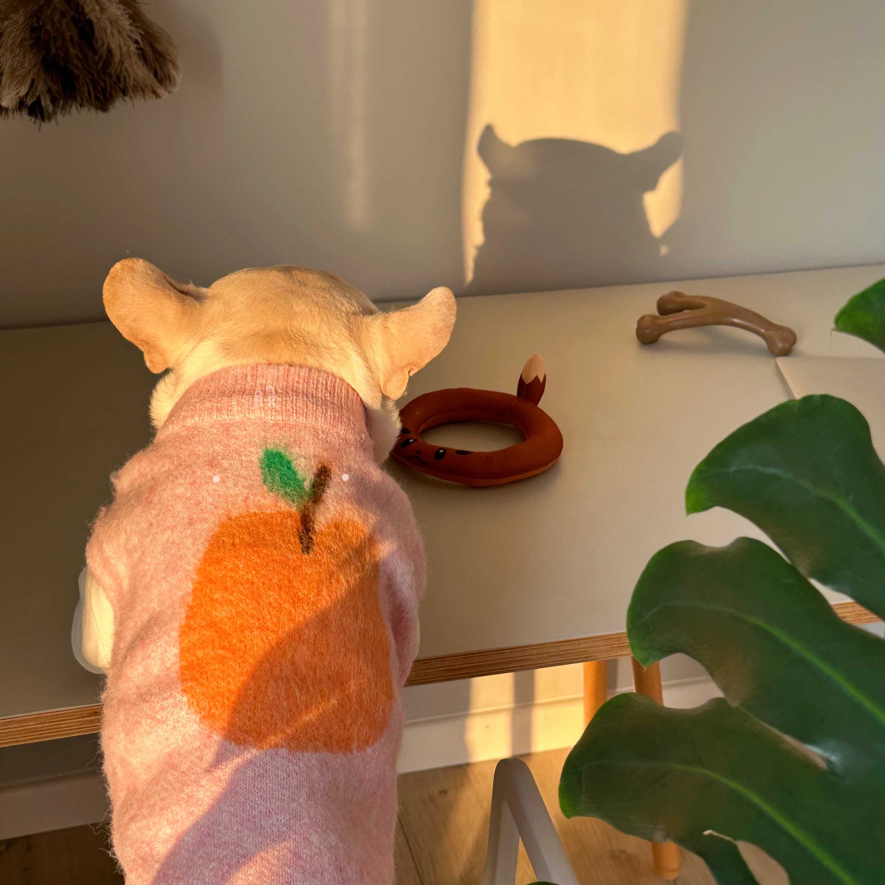 Winter Warm Knit Dog Vest