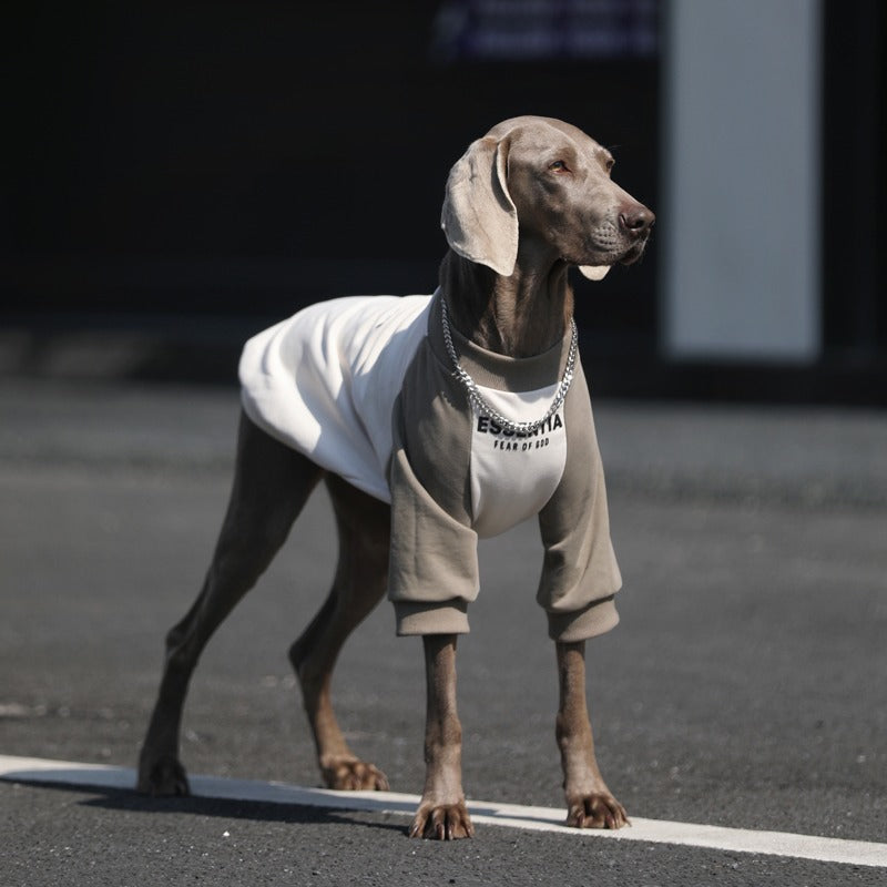Breathable Big Dog Summer Hoodie