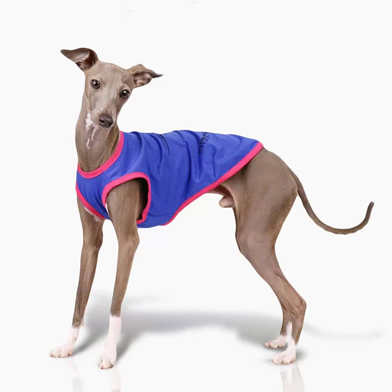 Comfortable Dog Dog Tank Top