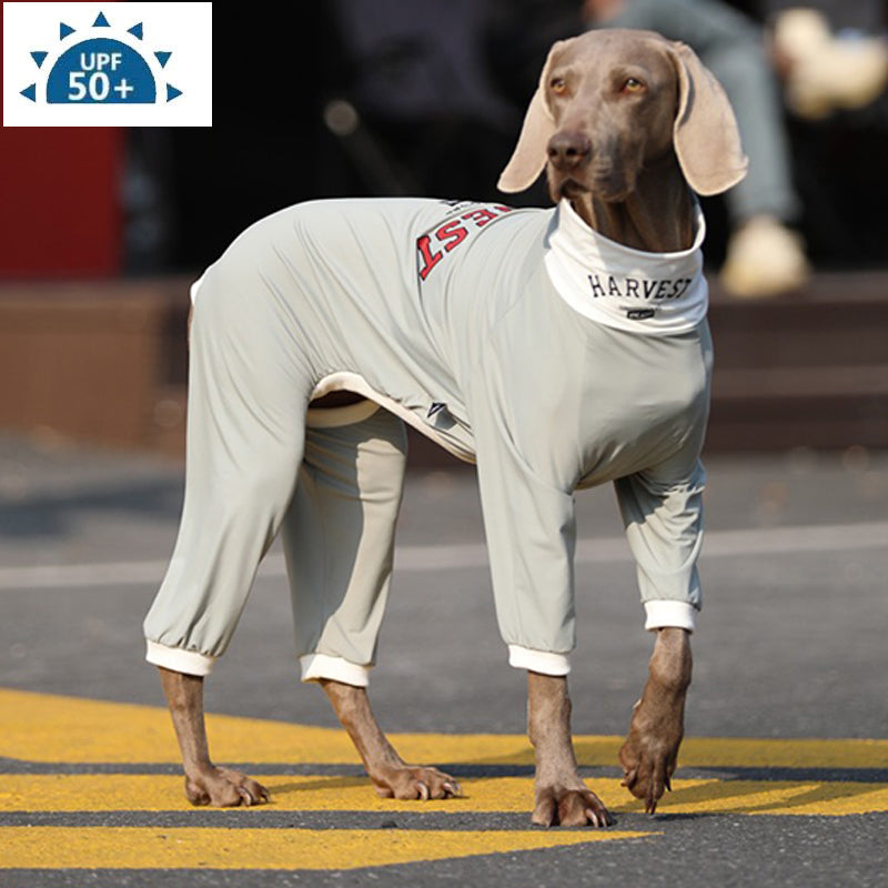 UPF50 Big Dog Cotton Onesie