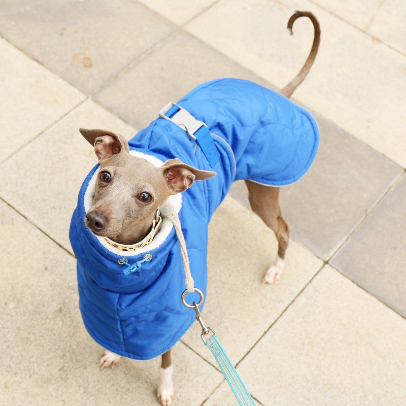 Thick Warm Waterproof Vest Italian Greyhound Whippet Winter Coat