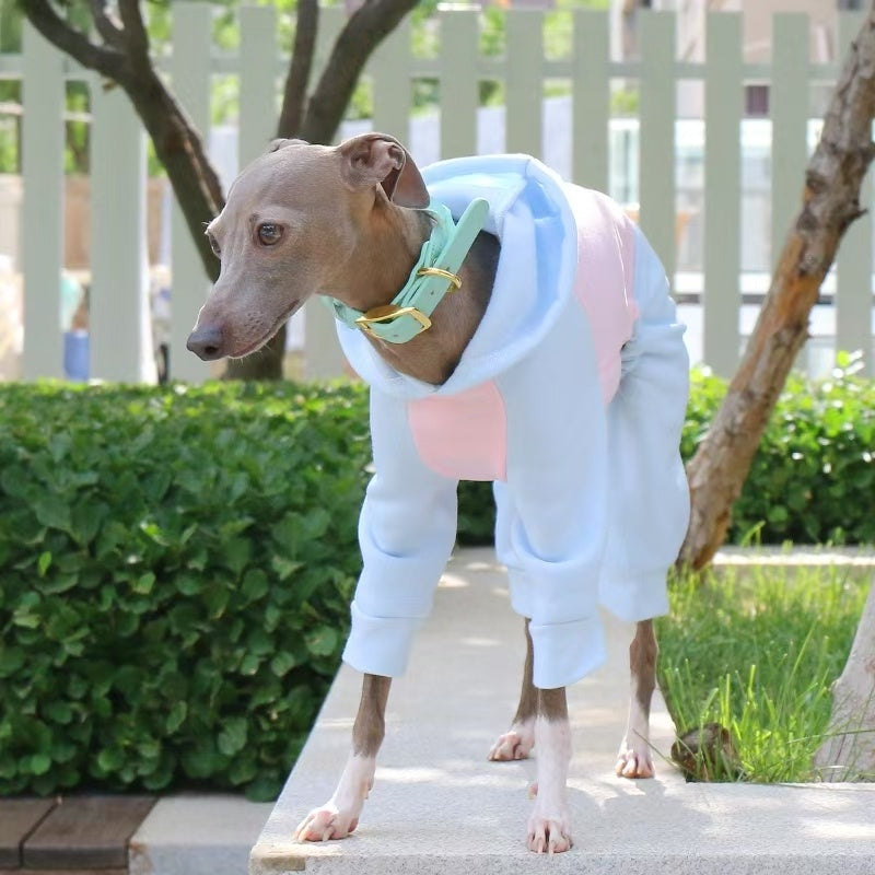 Warm Color Block Onesies for Italian Greyhound Whippet Clothes