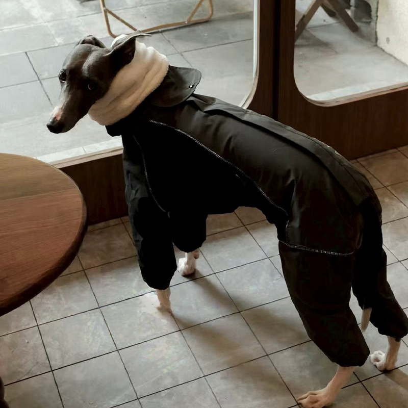 Winter Waterproof Windproof Onesie Italian Greyhound Whippet Clothes