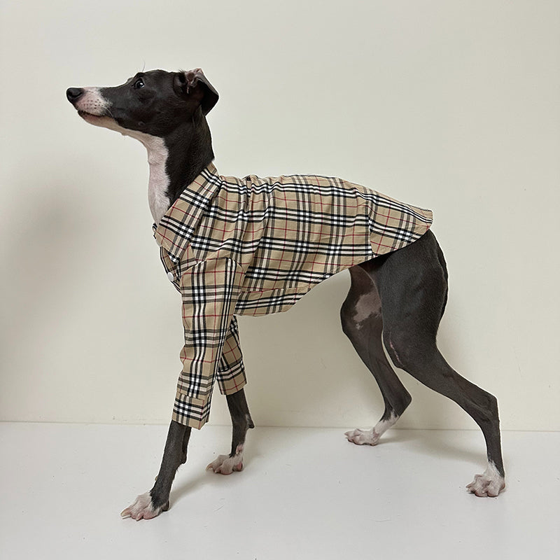Fashionable Italian Dog Whippet Shirt