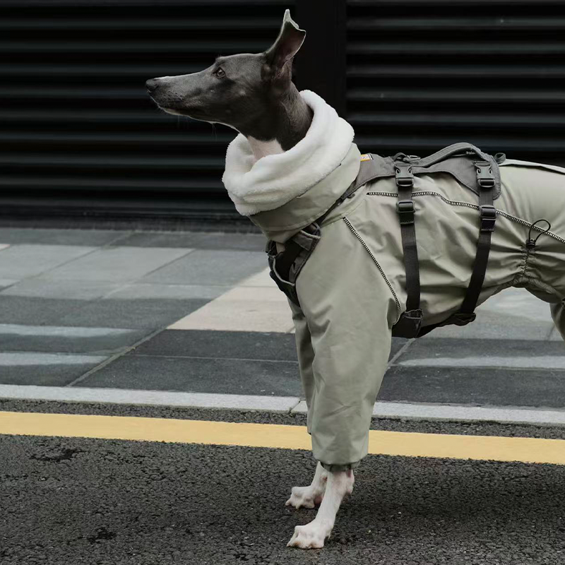 Winter Waterproof Windproof Onesie Italian Greyhound Whippet Clothes