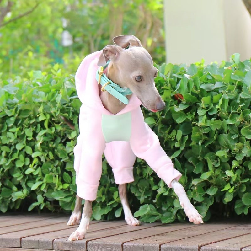Warm Color Block Onesies for Italian Greyhound Whippet Clothes