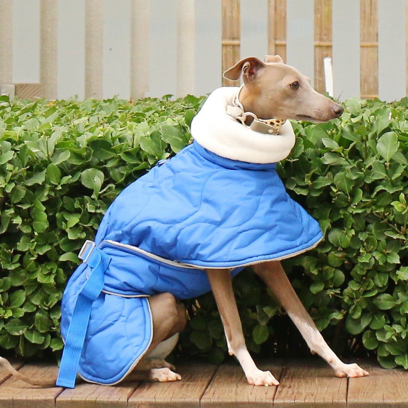 Thick Warm Waterproof Vest Italian Greyhound Whippet Winter Coat