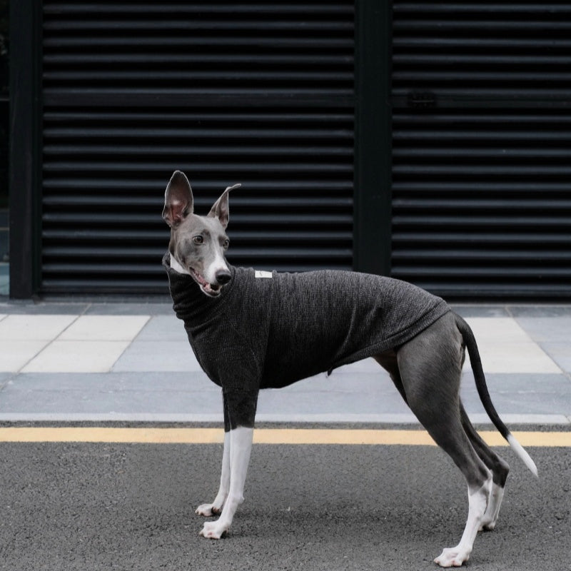 High-Neck Thermal Base Shirt Italian Greyhound Whippet Clothes