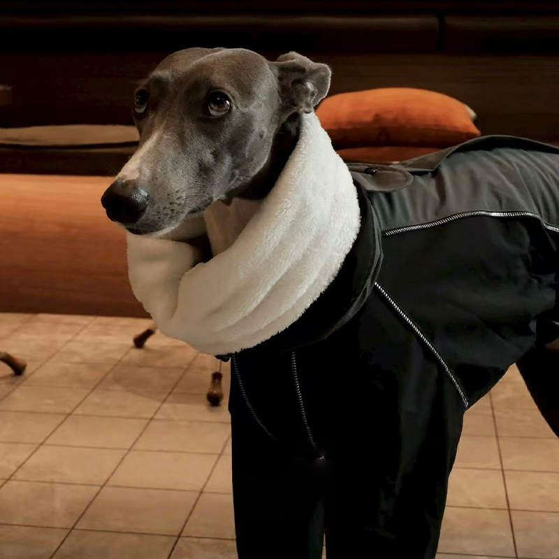 Winter Waterproof Windproof Onesie Italian Greyhound Whippet Clothes