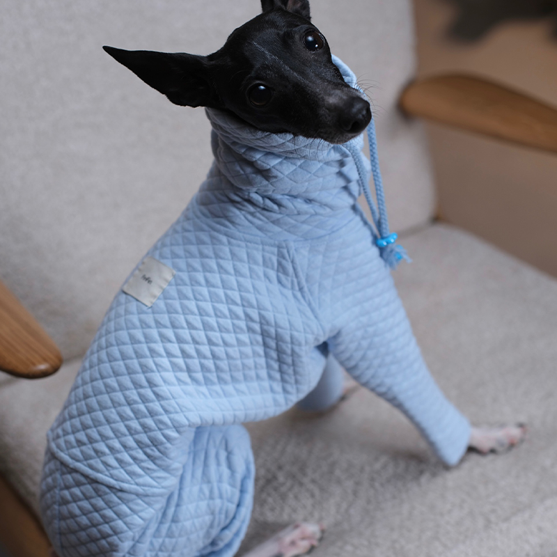 Soft Stretch Four-Leg Outfit for Italian Greyhound