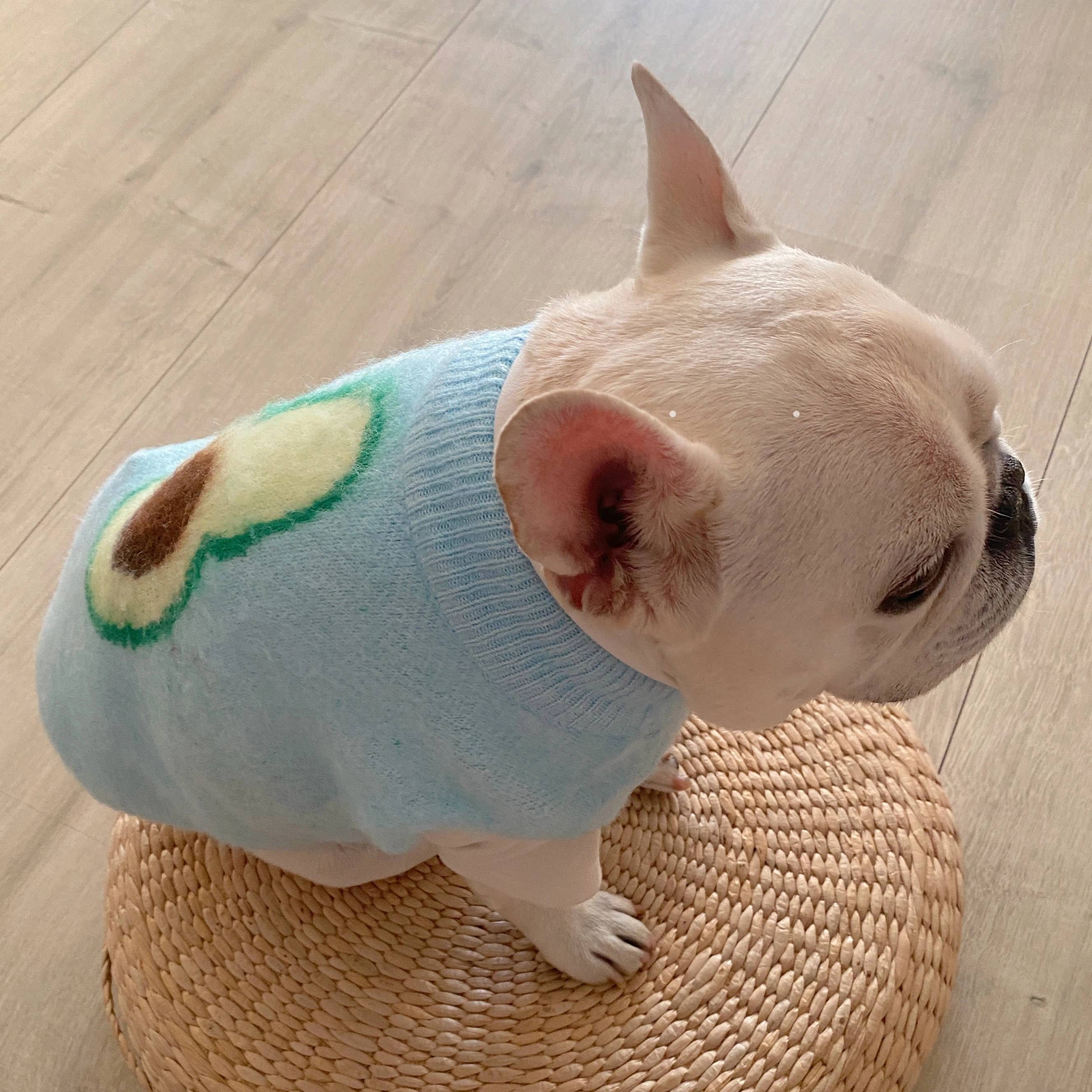 Winter Warm Knit Dog Sweater