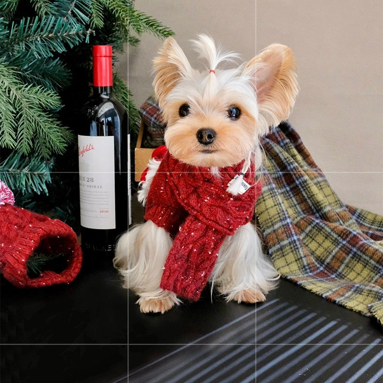 Cozy Dog Christmas Sweater Set