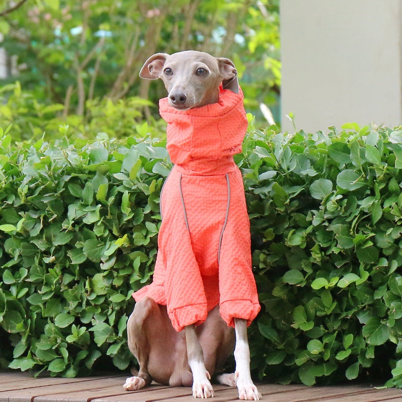 Waterproof Reflective Jacket Raincoat