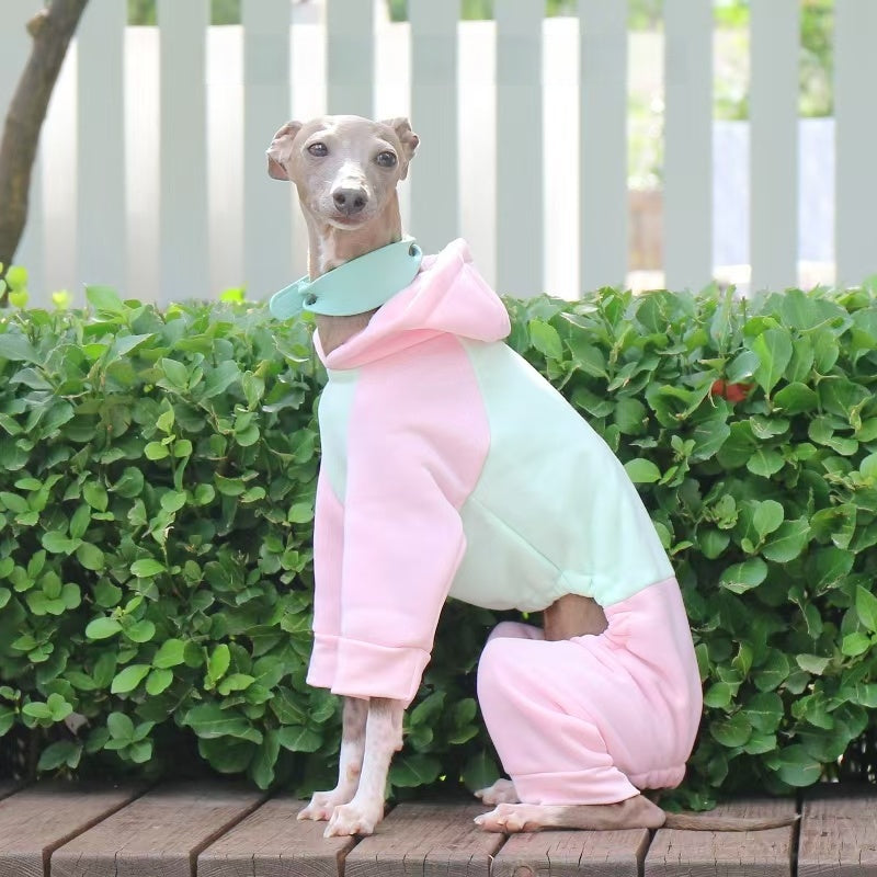 Warm Color Block Onesies for Italian Greyhound Whippet Clothes