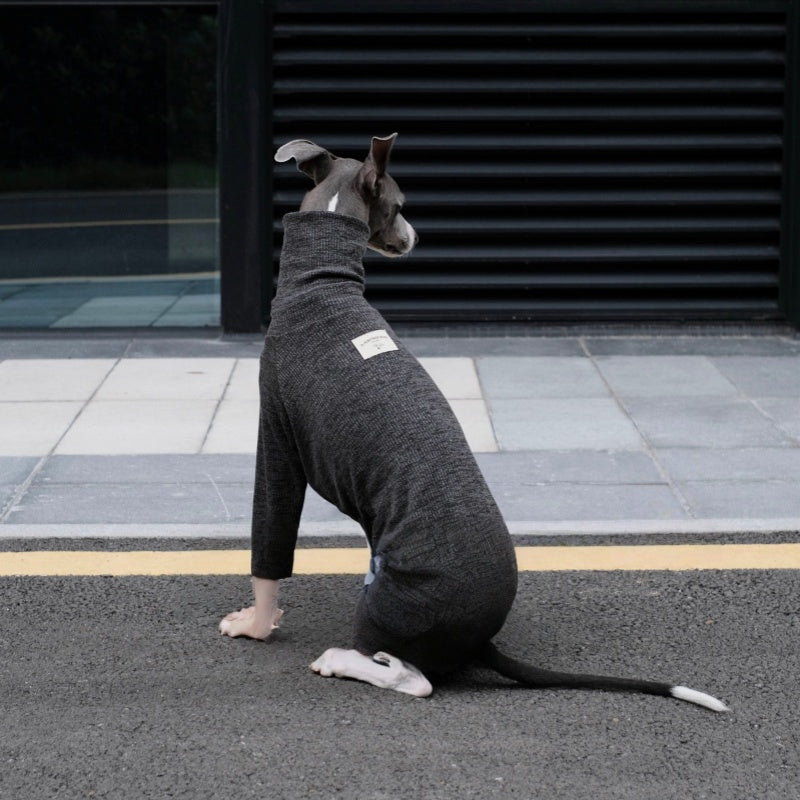 High-Neck Thermal Base Shirt Italian Greyhound Whippet Clothes