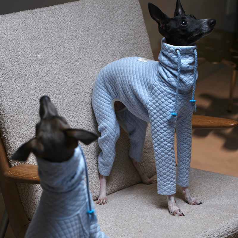 Soft Stretch Four-Leg Outfit for Italian Greyhound