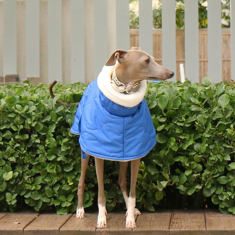 Thick Warm Waterproof Vest Italian Greyhound Whippet Winter Coat