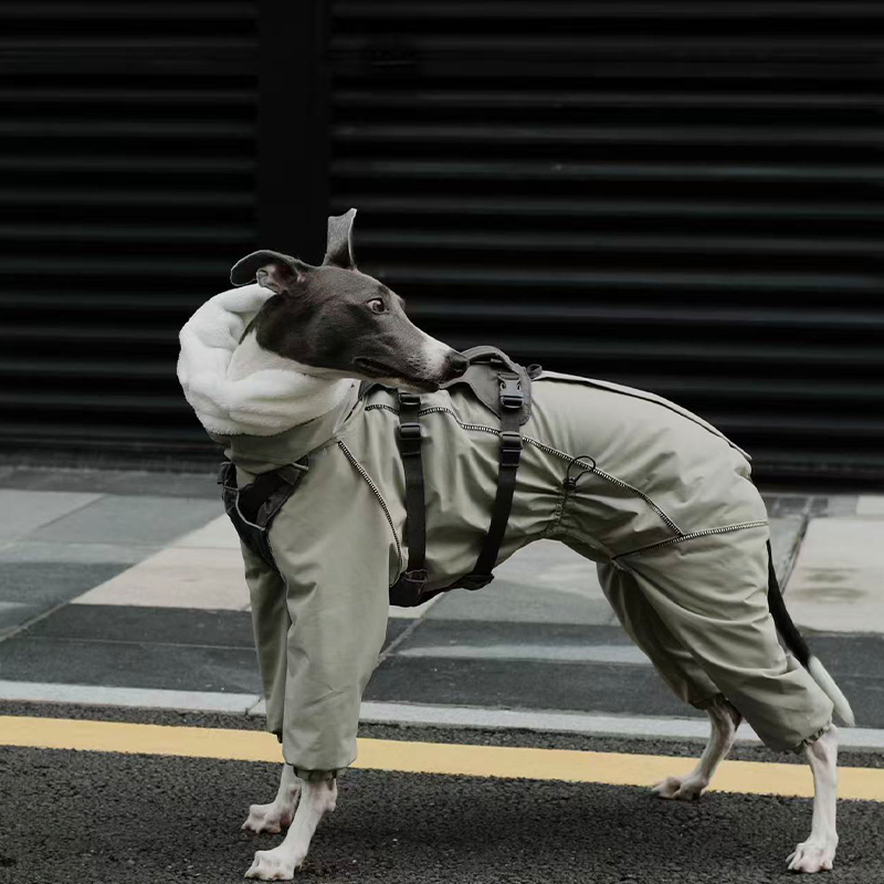 Winter Waterproof Windproof Onesie Italian Greyhound Whippet Clothes