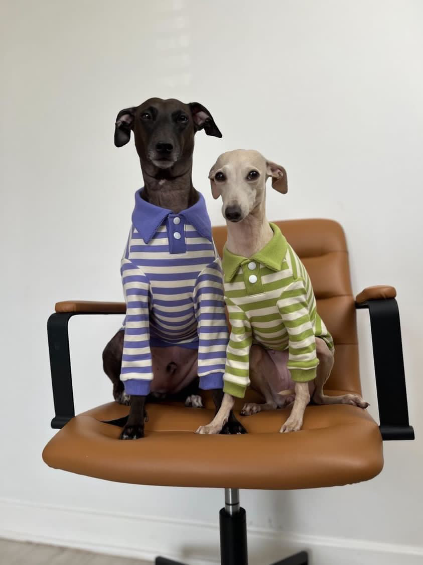 Comfortable Dog Polo Shirt