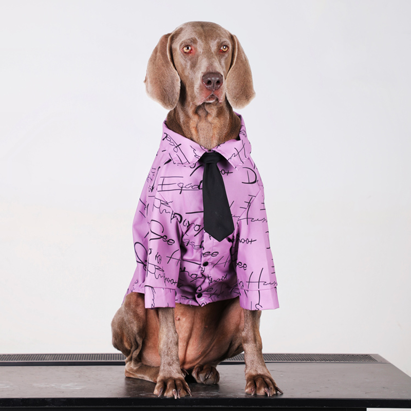 Stylish Big Dog Cotton Shirts