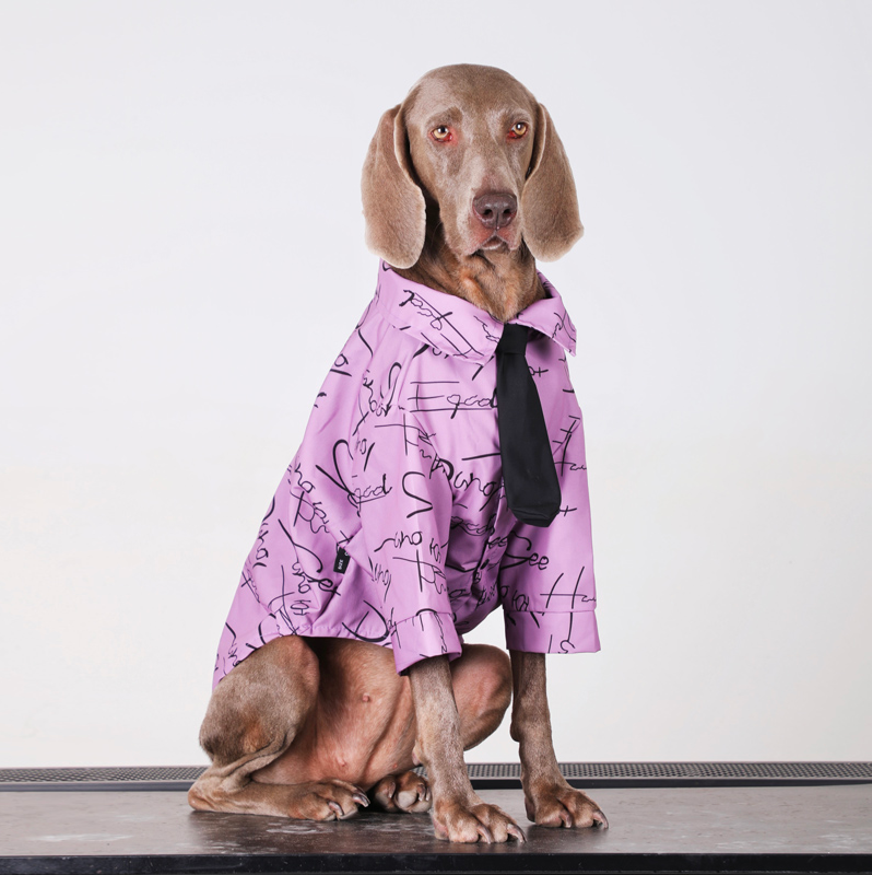 Stylish Big Dog Cotton Shirts