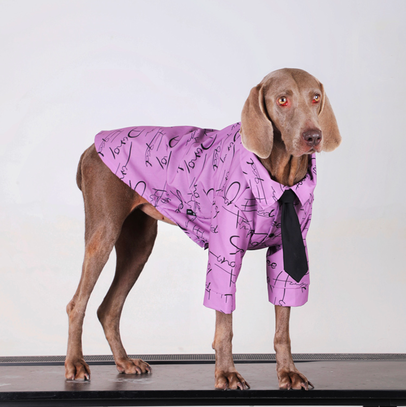 Stylish Big Dog Cotton Shirts