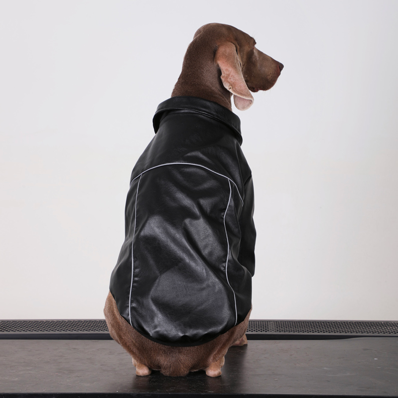 Winter Waterproof Big Dog Coat