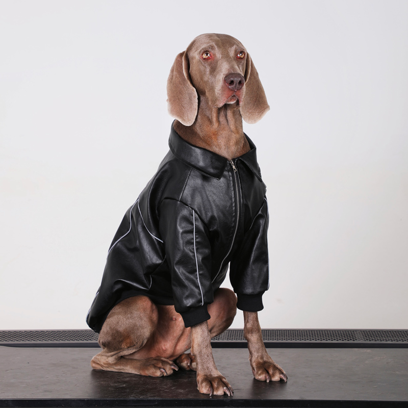 Winter Waterproof Big Dog Coat